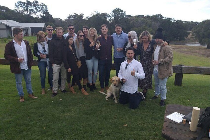 This puppy had more attention than a whisky at an Irish wedding 2