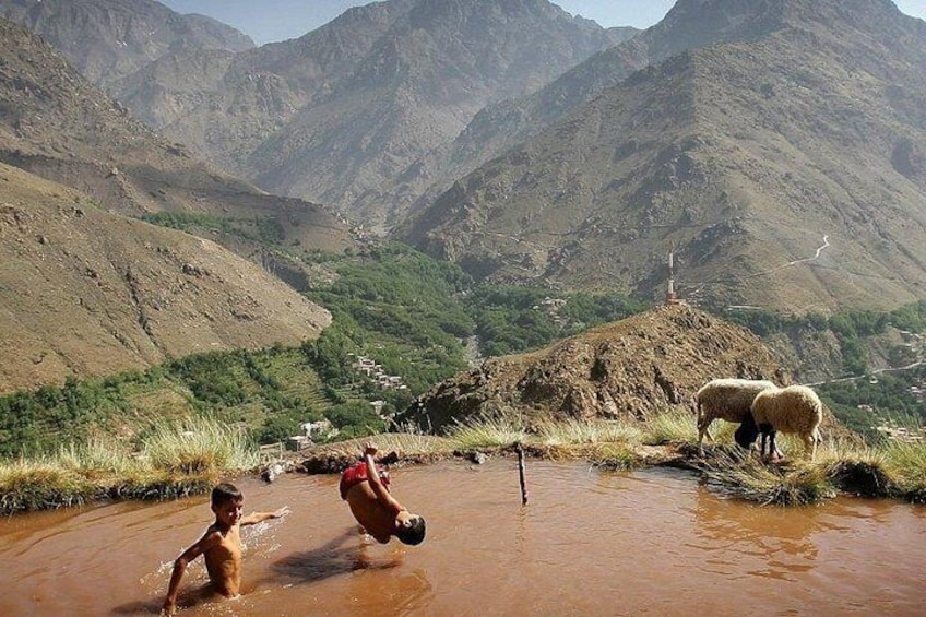 Atlas Mountains and 3 Valleys & Waterfalls - Camel Ride Marrakech 2
