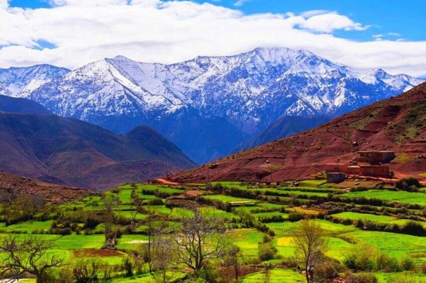 Atlas Mountains and 3 Valleys & Waterfalls - Camel Ride Marrakech 2