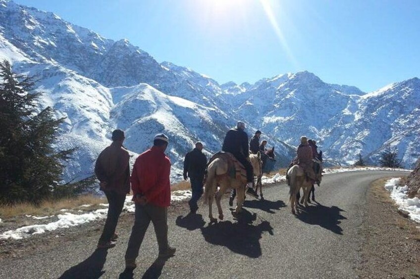 Un grupo de personas montando a caballo por un camino nevado en la montaña. 4