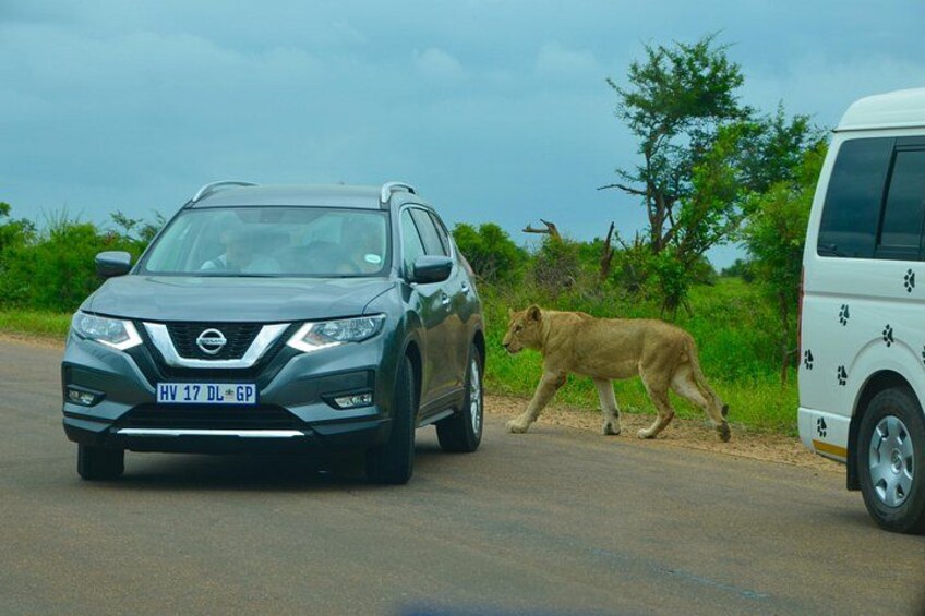 All Inclusive 2 Day Kruger Safari from Johannesburg 5