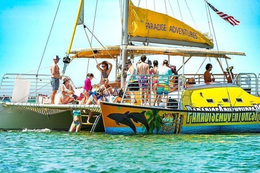 Snorkel & Dolphin Sightseeing Tour Aboard the Footloose 4
