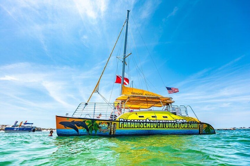 Snorkel & Dolphin Sightseeing Tour Aboard the Footloose 4