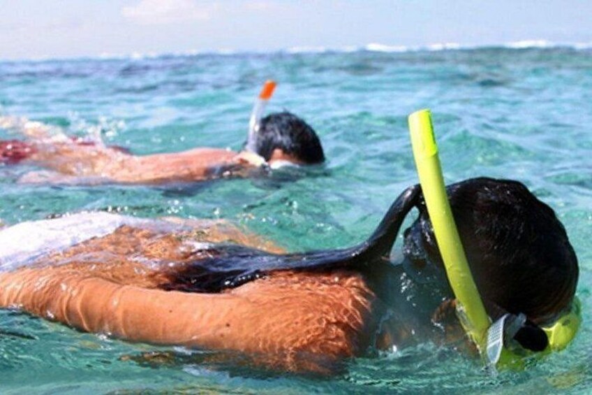 Snorkel & Dolphin Sightseeing Tour Aboard the Footloose 4