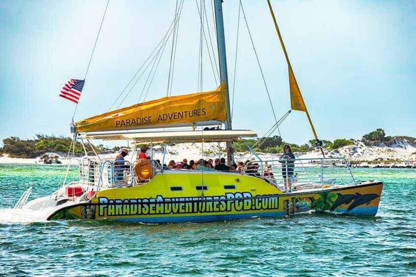 Snorkel & Dolphin Sightseeing Tour Aboard the Footloose 2