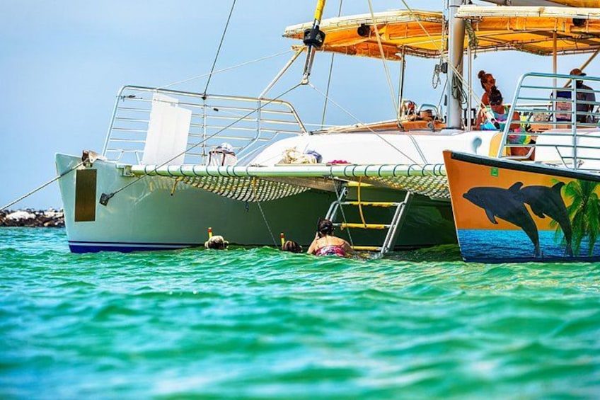 Snorkel & Dolphin Sightseeing Tour Aboard the Footloose 1