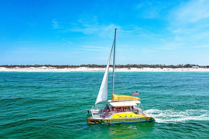 Snorkel & Dolphin Sightseeing Tour Aboard the Footloose 3