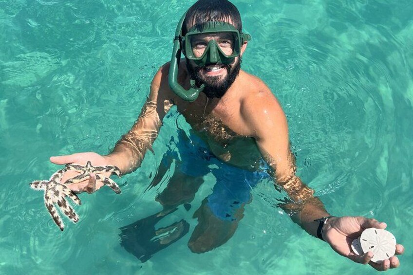 Snorkel & Dolphin Sightseeing Tour Aboard the Footloose 5