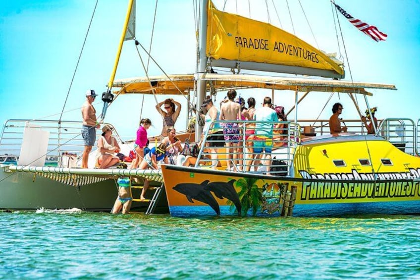 Snorkel & Dolphin Sightseeing Tour Aboard the Footloose 3