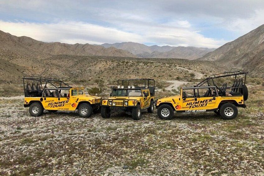 Joshua Tree Open Air Hummer Adventure 2