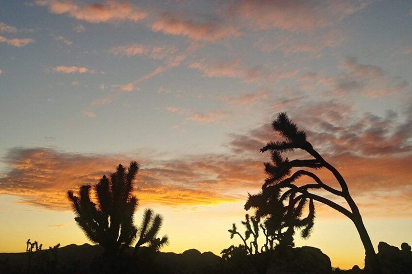 We also do Sunset Tours that leave every day at 2:00 p.m. 2