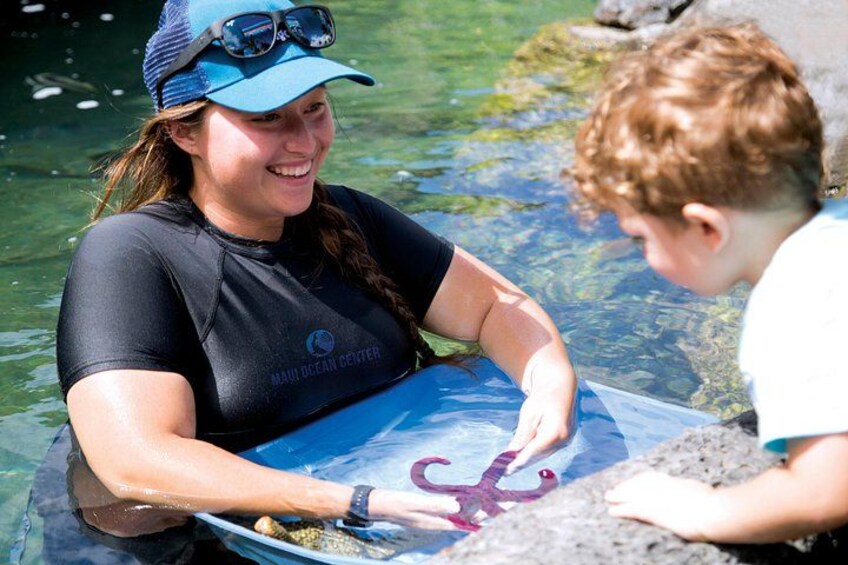 Interactive and engaging presentations are included with Aquarium admission. 2