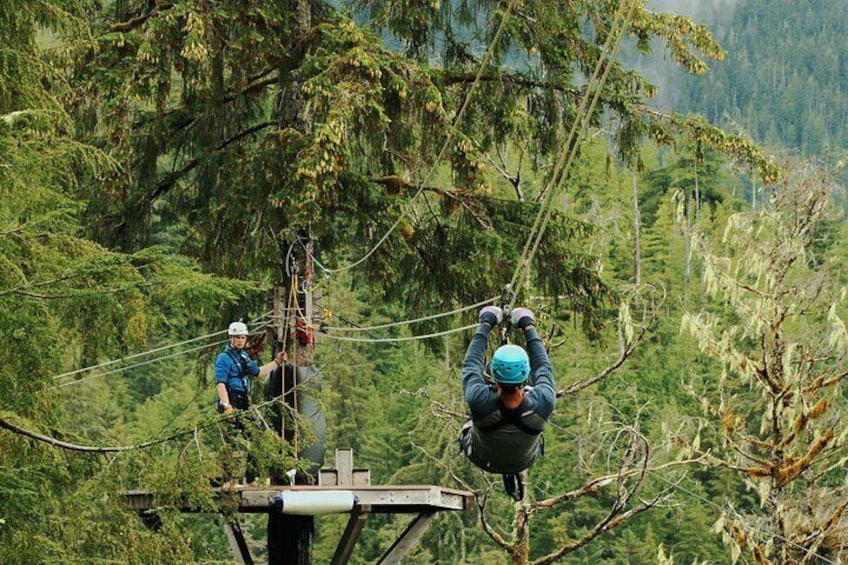 Rainforest Canopy & Zipline Adventure in Ketchikan, AK 4
