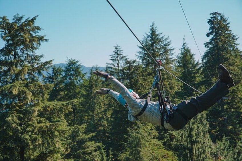 Rainforest Canopy & Zipline Adventure in Ketchikan, AK 4