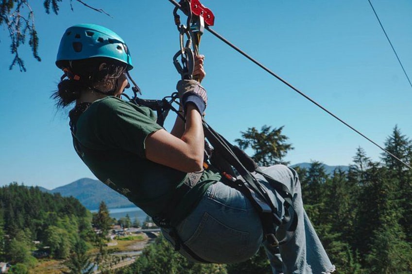 Rainforest Canopy & Zipline Adventure in Ketchikan, AK 2