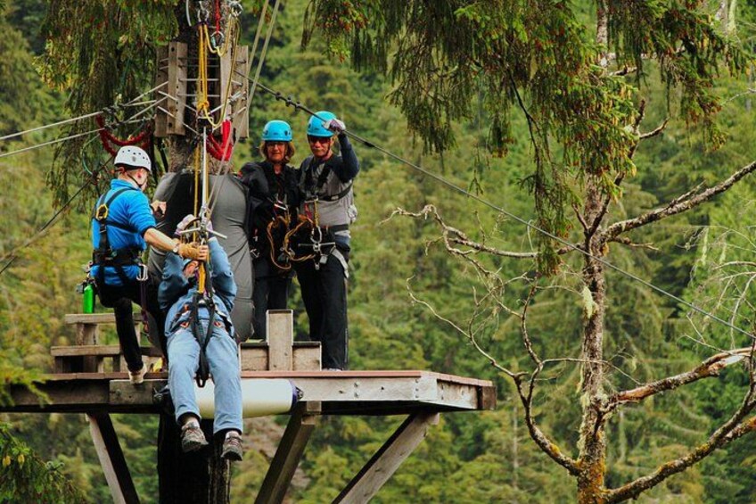 Rainforest Canopy & Zipline Adventure in Ketchikan, AK 3
