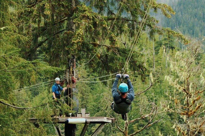 Rainforest Canopy & Zipline Adventure in Ketchikan, AK 3