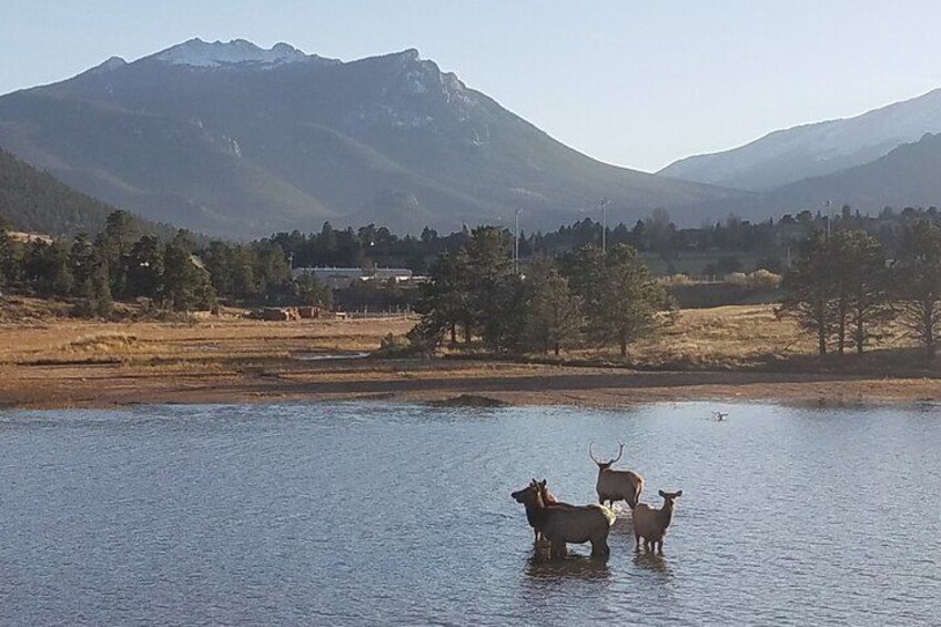 A lake with mountains in the background and a few animals near the water's edge. 3