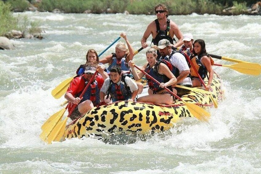 A group of people in a leopard-print raft navigating a river. 2