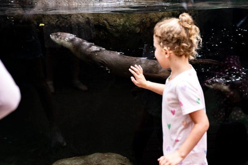 The Florida Aquarium in Tampa General Admission 2