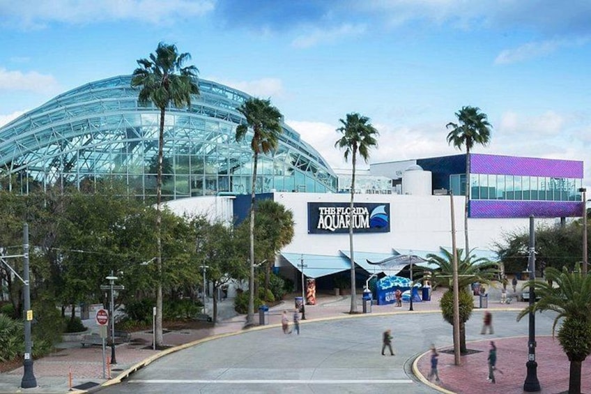 The Florida Aquarium in Tampa General Admission 3