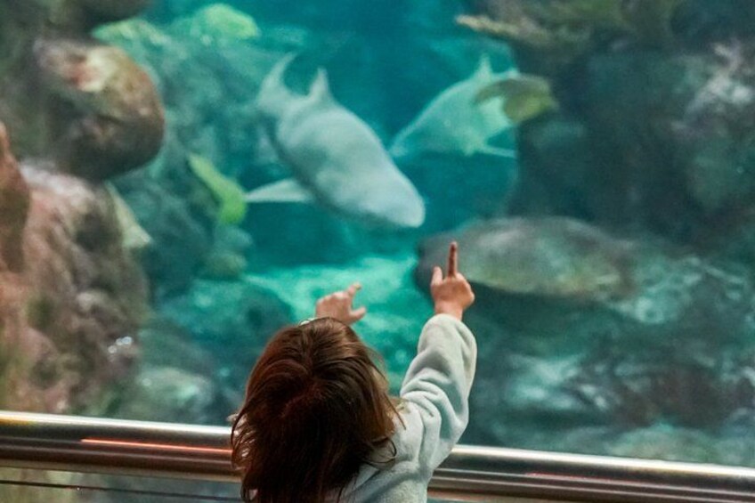 The Florida Aquarium in Tampa General Admission 1