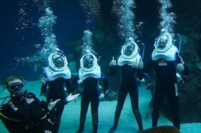 The Florida Aquarium in Tampa General Admission 3