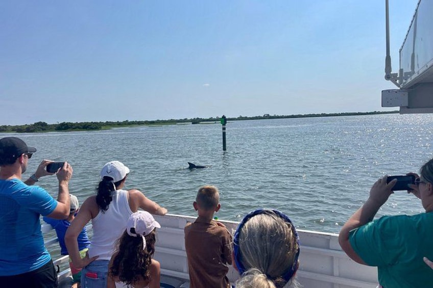 A group of people on a boat observing a whale in the water. 4