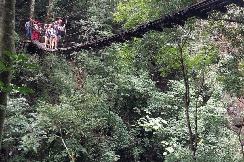A group of people on a suspended bridge in a dense forest. 5