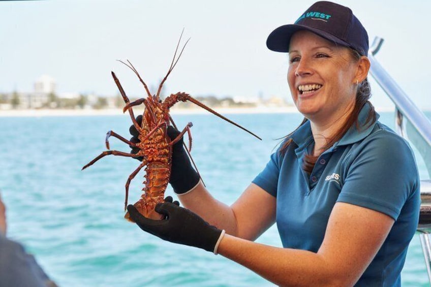 A person holding a lobster on a boat with water and a distant shoreline in the background. 3