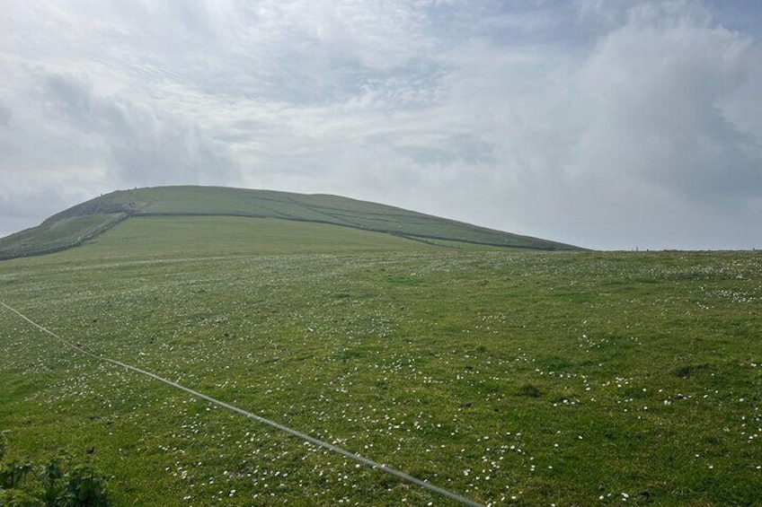 Private Tour of Dingle Peninsula from Killarney 2