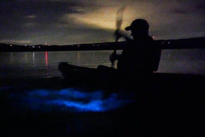 Bioluminescence Night Kayaking Tour of Merritt Island Wildlife Refuge 2