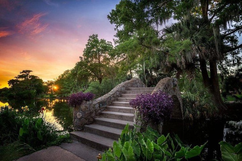 The Swamp from 1718 - City Park - nolabig4.c0m 2