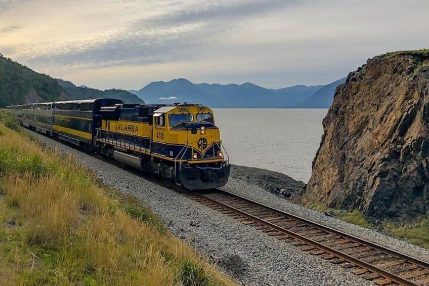 Seward to Anchorage Cruise Transfer and Private Tour 3