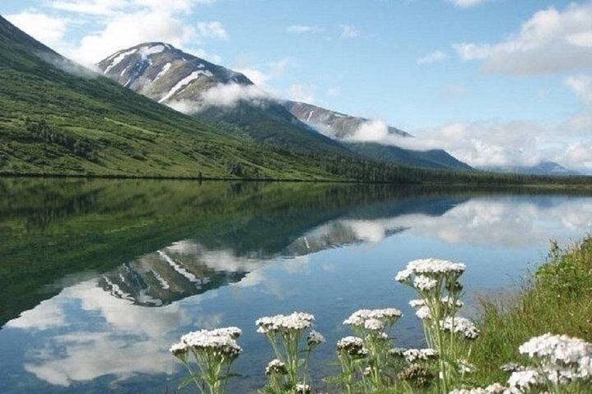 Seward to Anchorage Cruise Transfer and Private Tour 3