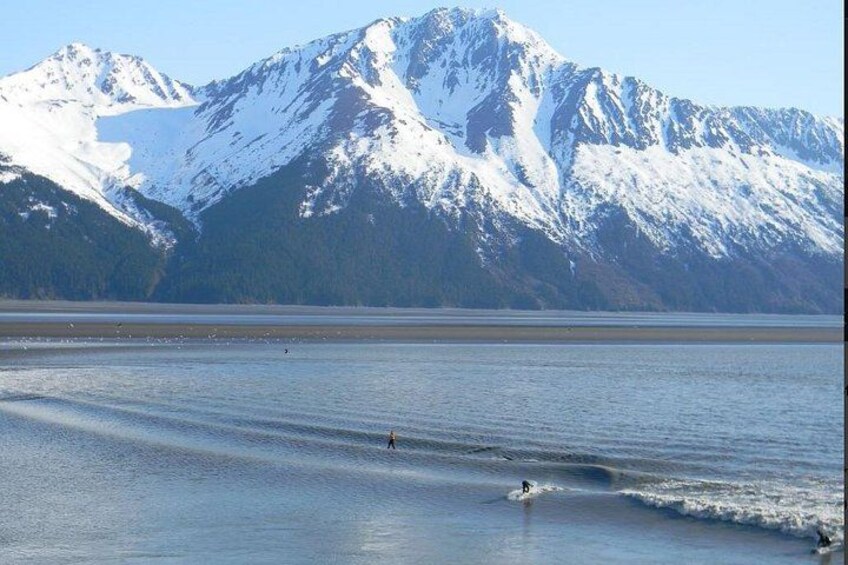 Seward to Anchorage Cruise Transfer and Private Tour 5