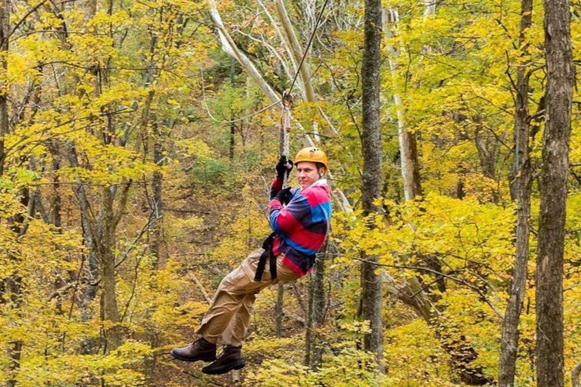 A person zip-lining through a forest with yellow foliage. 2