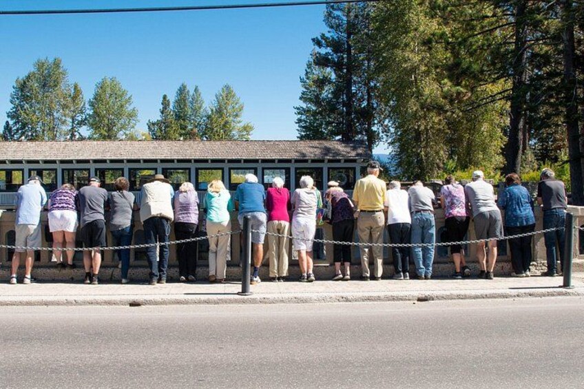 Full-Day Lake Tahoe Circle Tour including Olympic Valley 3
