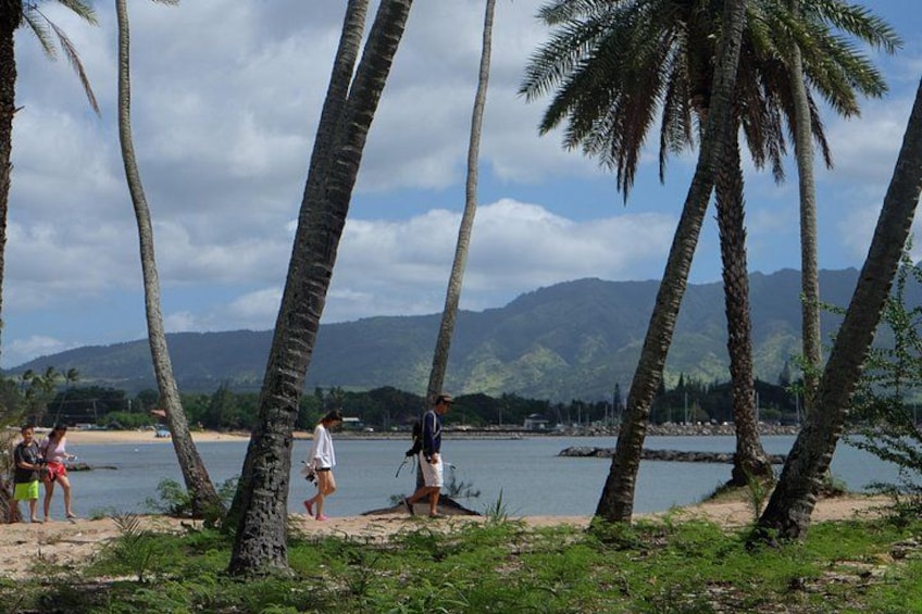 Oahu Circle Island Tour with Waimea Valley Waterfall 2
