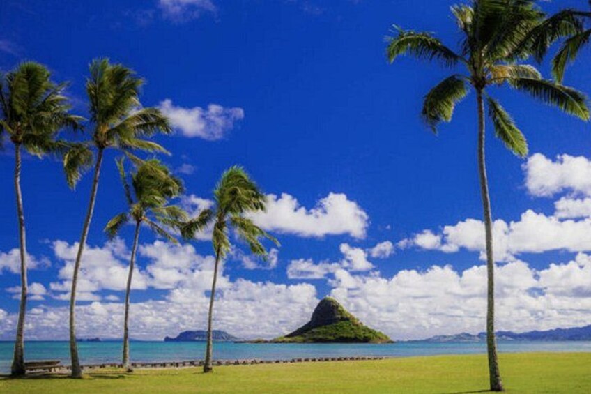 A tropical beach with palm trees, a clear blue sky, and a mountain in the distance. 2