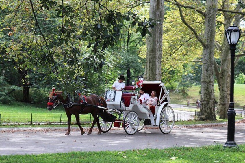 Central Park Horse Carriage Ride - VIP Tour with photo stops (55 min)