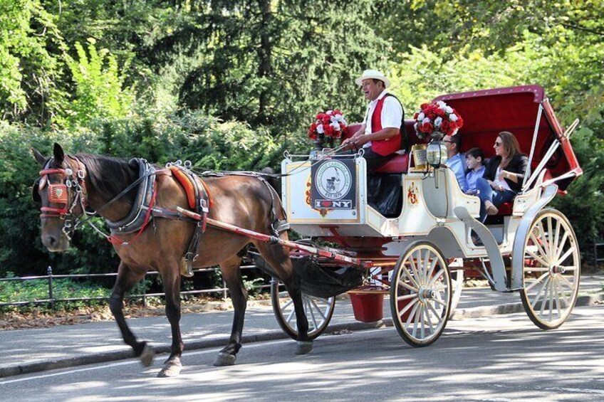 Central Park Horse Carriage Ride - VIP Tour with photo stops (55 min)