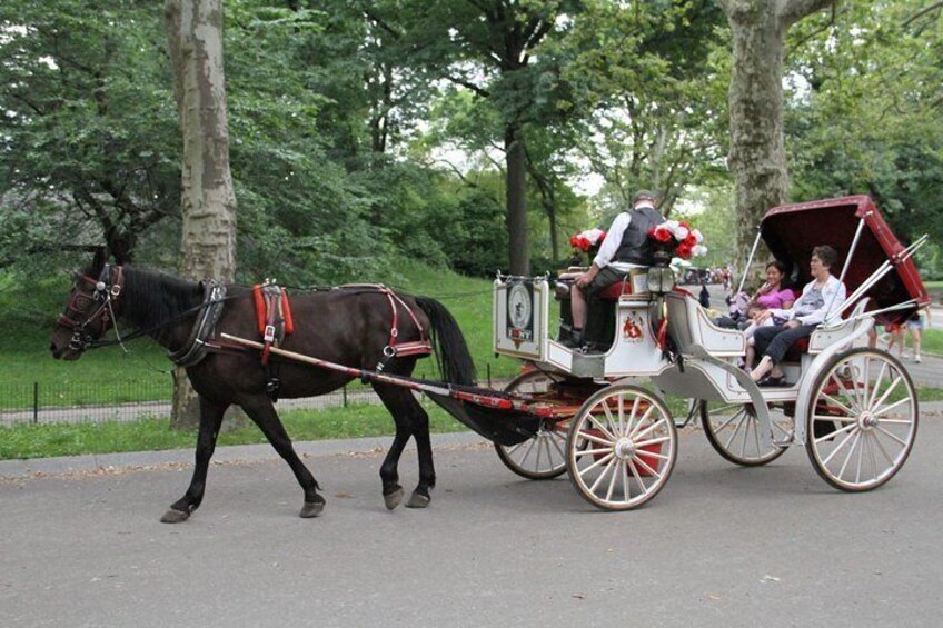 Central Park Horse Carriage Ride - VIP Tour with photo stops (55 min)