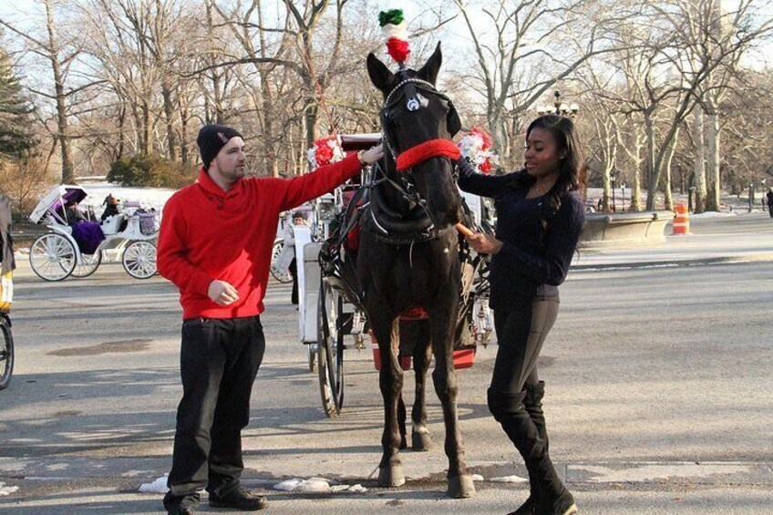 Central Park Horse Carriage Ride - VIP Tour with photo stops (55 min)