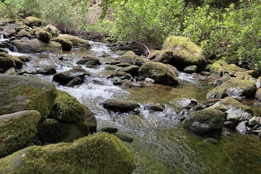 Ring of Kerry Private Tour from Killarney 2