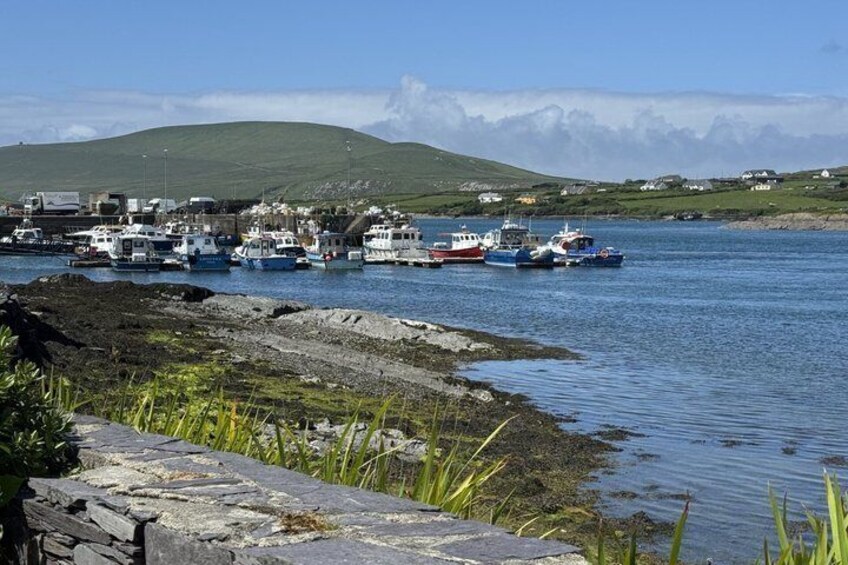 Ring of Kerry Private Tour from Killarney 5