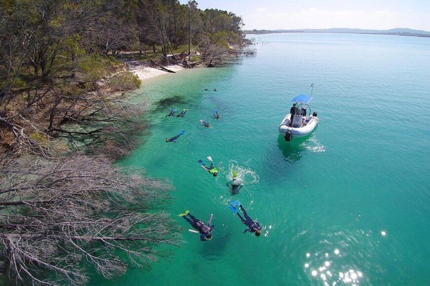 Snorkelling Wathumba Creek, Fraser Island 3