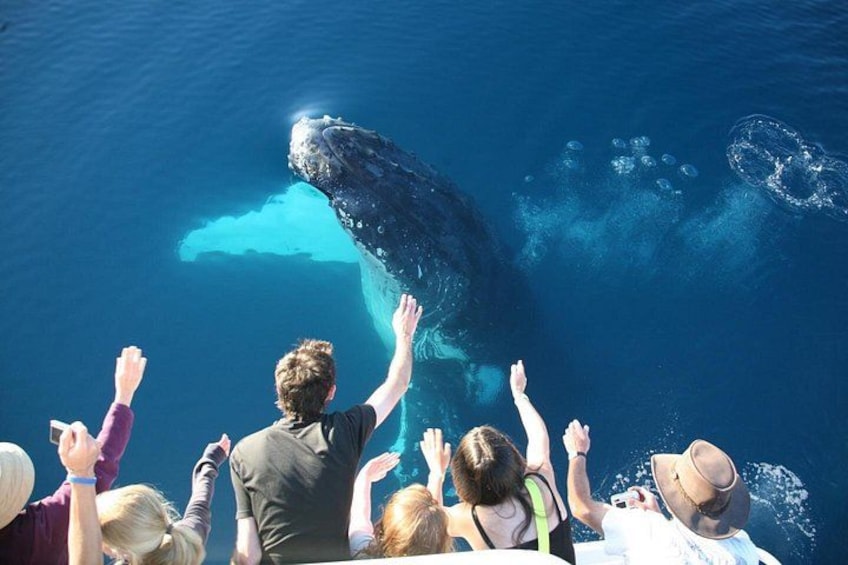 Une baleine surgissant de l’eau, tandis que des personnes à bord d’un bateau observent la scène. 3