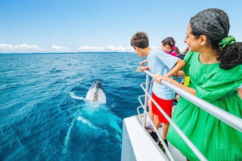 Hervey Bay Whale Watching Cruise 2