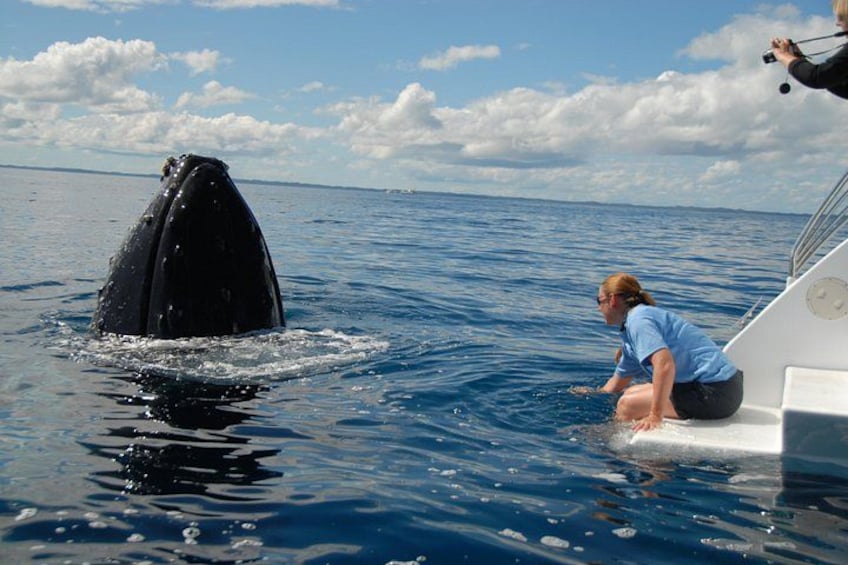 A person on a boat observing a whale breaching the water. 5